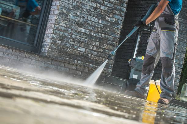 Best Pre-Holiday Cleaning  in Larimore, ND